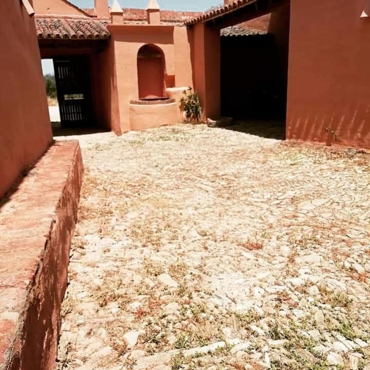 Albergue Turistico La Almazara Villafranca de los Barros Eksteriør bilde