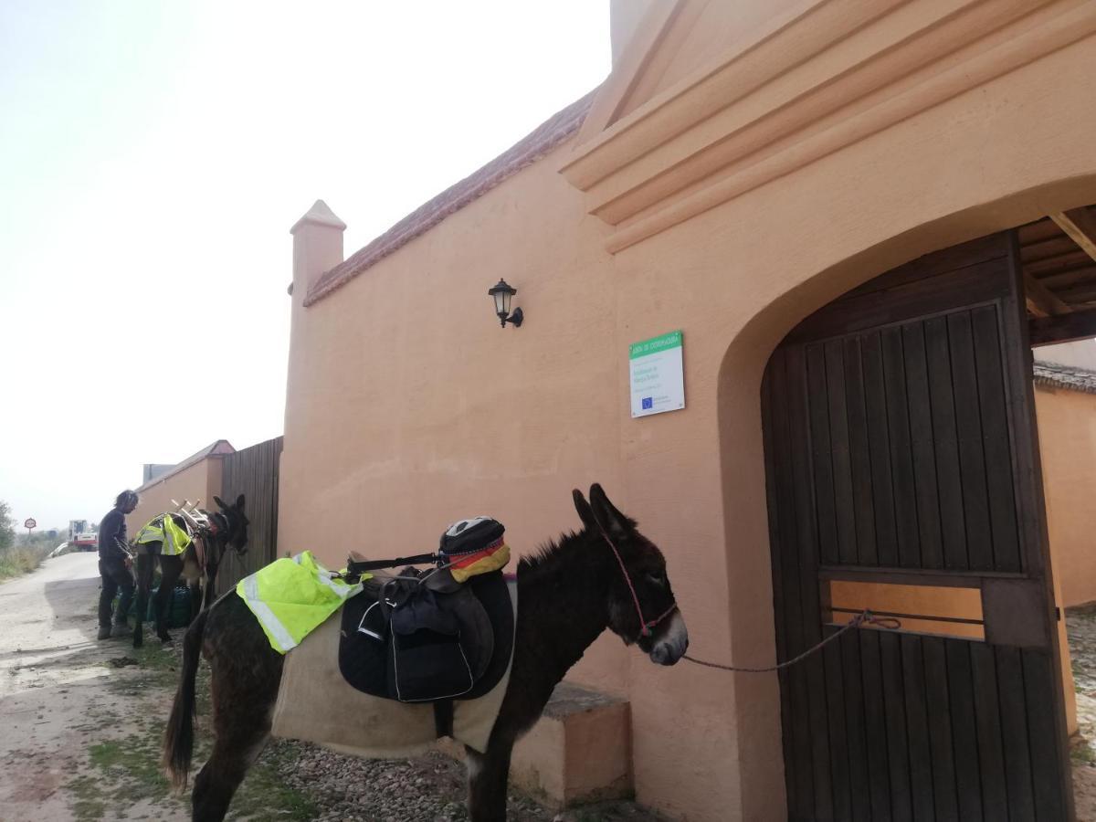 Albergue Turistico La Almazara Villafranca de los Barros Eksteriør bilde