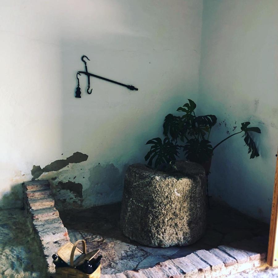 Albergue Turistico La Almazara Villafranca de los Barros Eksteriør bilde